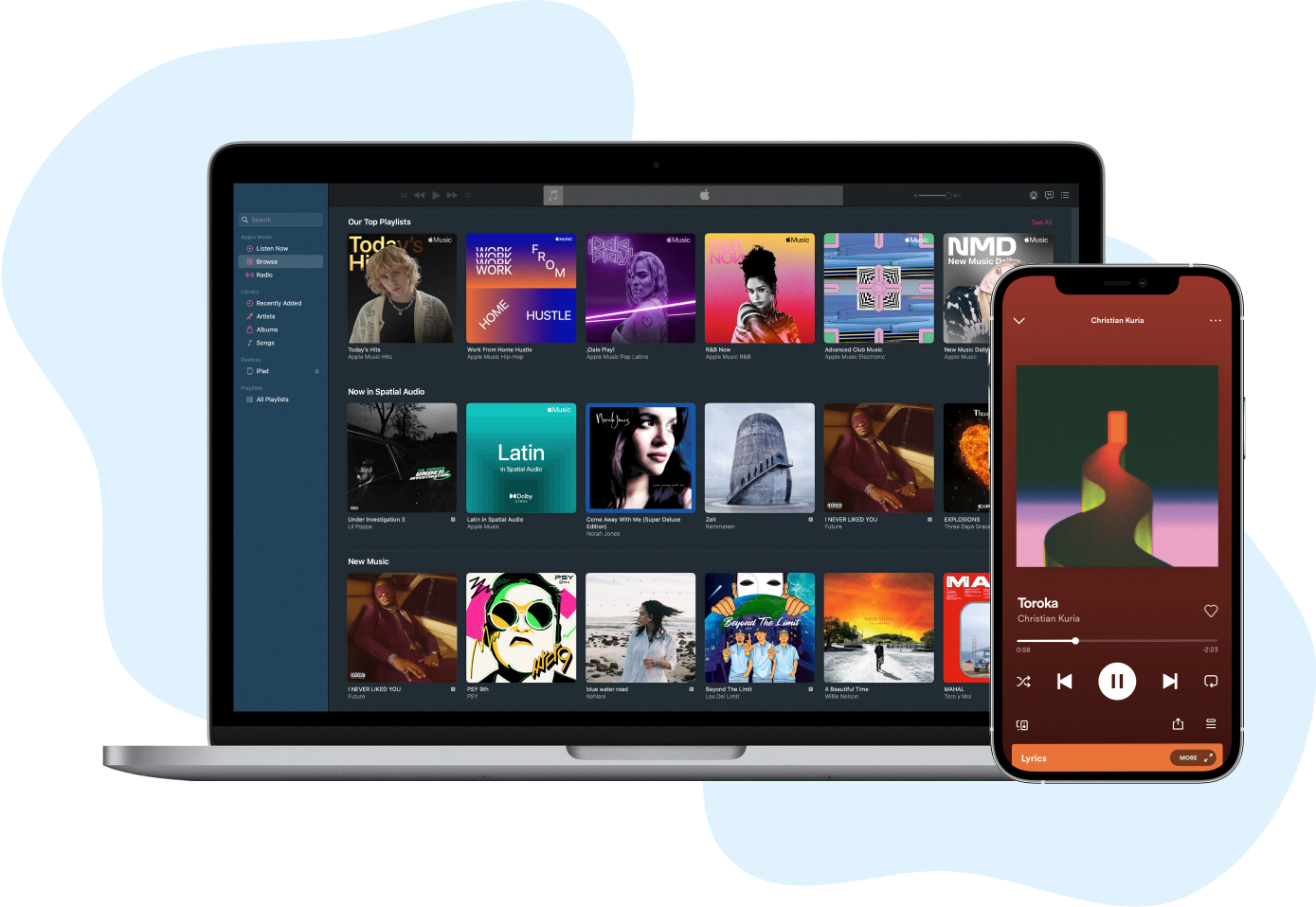 Streaming services device preview